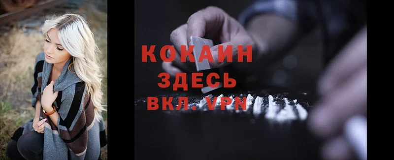 купить  цена  Лиски  Cocaine Эквадор 